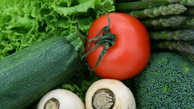 Les légumes du Sud font la vie dure aux maraîchers