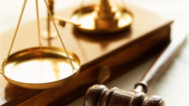 Un pédophile plaide coupable