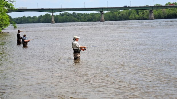 Rivière des Prairies: poissons en danger