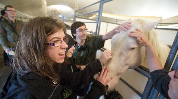 Cavalia ouvre ses portes à des étudiants de Curé-Antoine Labelle