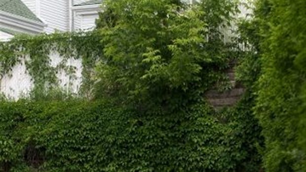 Des citoyens devront débourser des milliers de dollars
