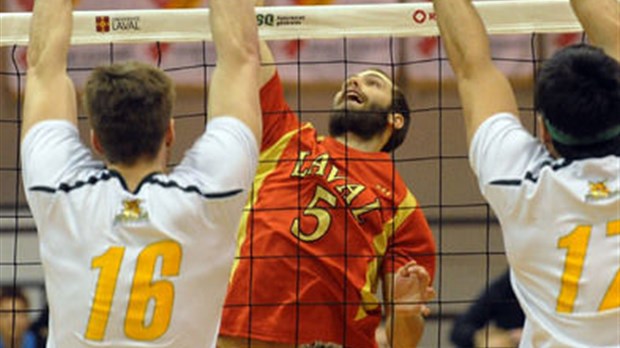 Le volleyball, un sport en renaissance