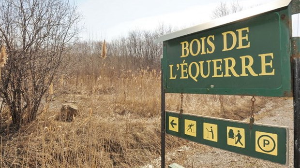 La Corporation déplore le statu quo