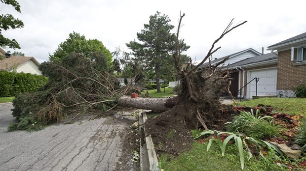 En photos : l'orage du 19 juillet à Laval