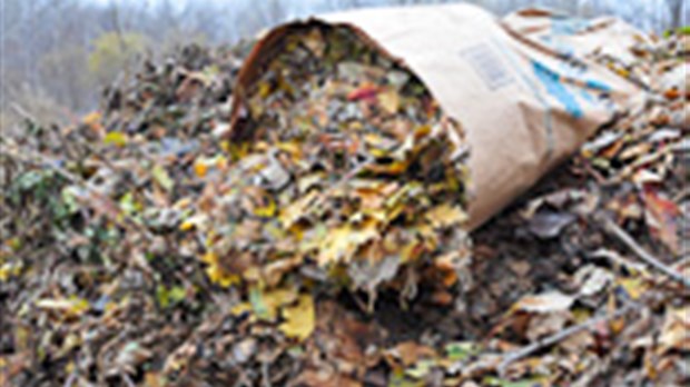 Savoir bien se débarrasser des feuilles mortes
