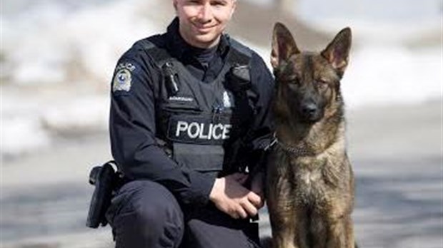 Un maître-chien appréhende quatre suspects dans la même soirée