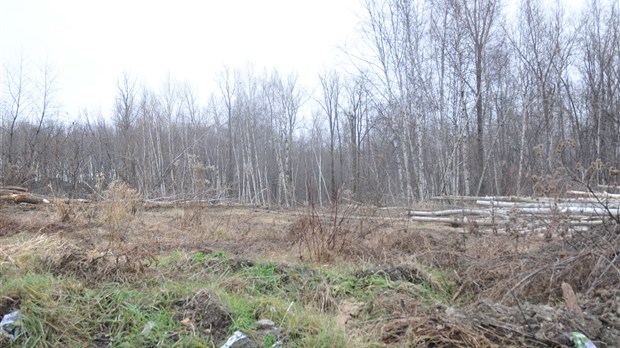 Protection du bois de la Source: le mouvement citoyen s'intensifie