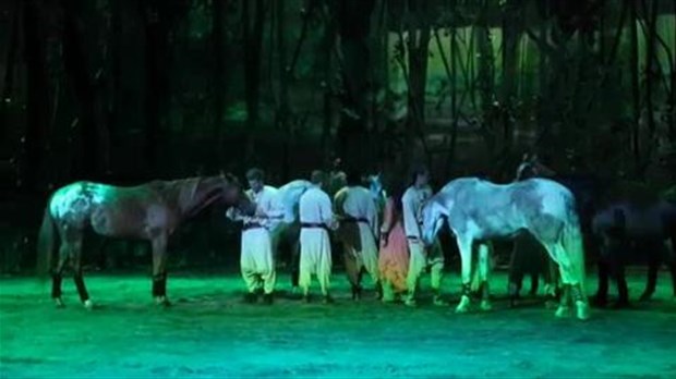 Cavalia n’écarte pas l’idée de revenir à Laval