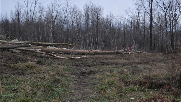 Terrain de soccer parc Stéphanie : séance d’information ce mardi soir