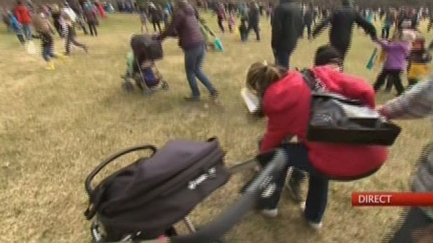 Faits divers : le Cocothon vire au fiasco pour Pâques