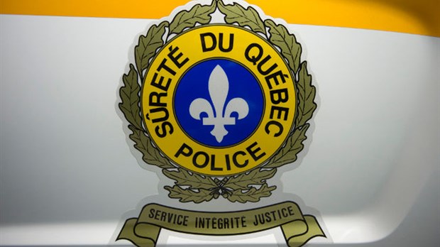 Fraudeurs de permis de conduire arrêtés