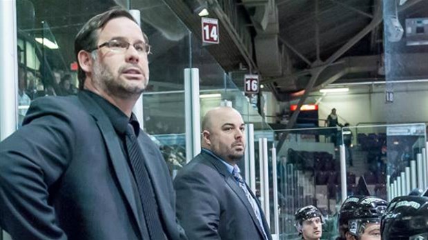 Éric Haley devient l'entraîneur-chef des Prédateurs de Laval