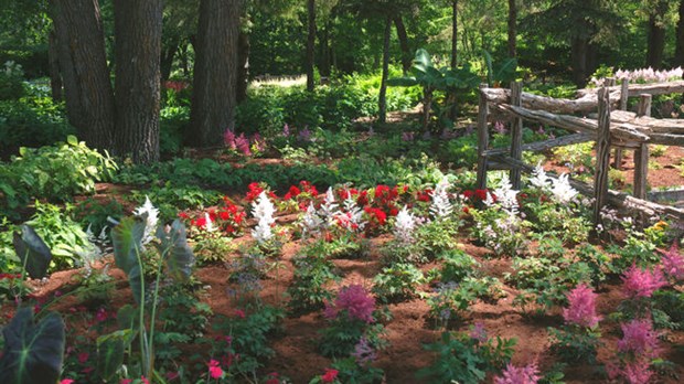 Une forêt du 50e au Centre de la nature