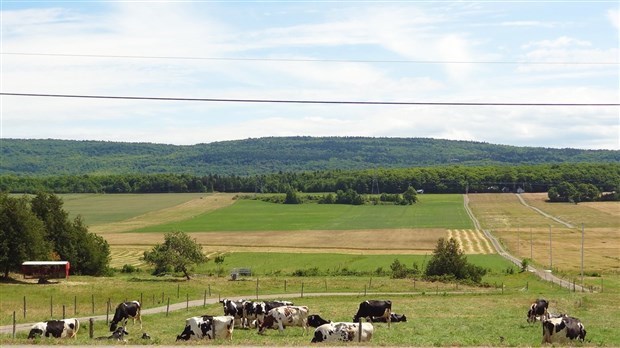 La Financière agricole du Québec dresse le bilan de l’assurance récolte de 2014