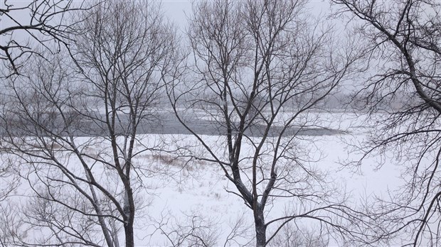 Un ruisseau sur la rivière des Prairies
