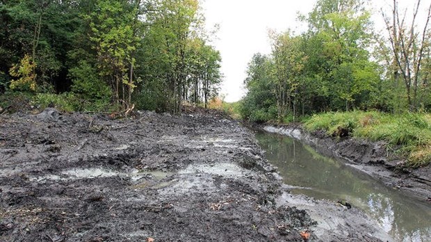 Plus de 30 000 $ en pénalités à la Ville de Laval pour le saccage du cours d'eau Sainte-Rose