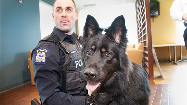 Finder, la nouvelle recrue du Service de police de Laval