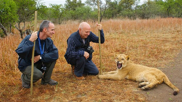 Dernière ciné-conférence de la saison au Cinéma Colossus Laval : L'Afrique du Sud