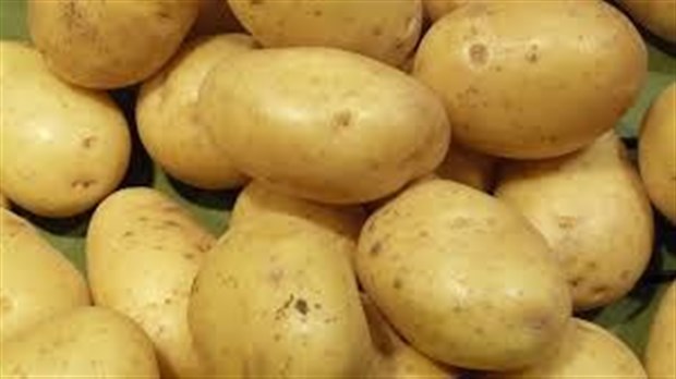 Attention! Des clous et des aiguilles retrouvés dans des pommes de terre