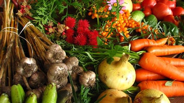 La députation lavalloise est heureuse de soutenir le développement de l'agriculture biologique à Laval