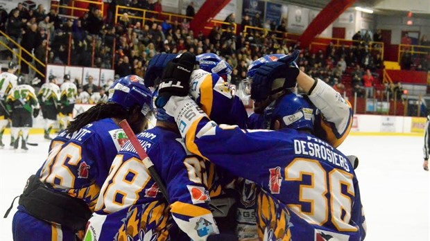 Grosse fin de semaine de hockey pour les Prédateurs