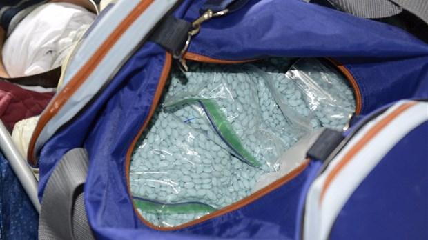 Démantèlement d'un important réseau de drogue: Arrestation de 16 personnes