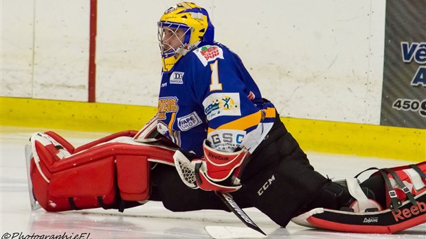 Adam Russo de retour devant la cage des Prédateurs de Laval
