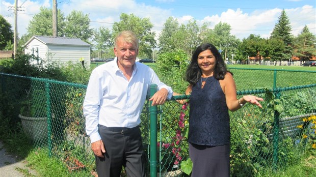 Propostion pour l’implantation de jardins communautaires et de potagers de voisinage