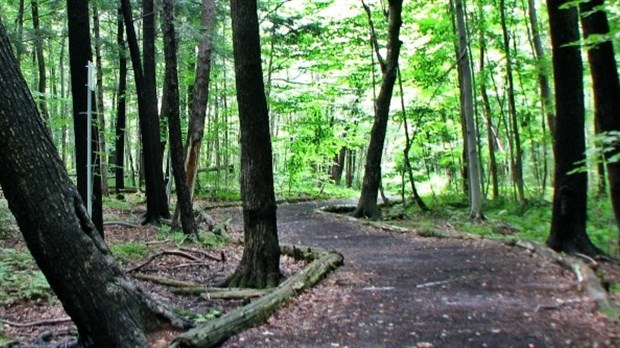  Laval est l'hôte de la 12e édition de la Conférence canadienne sur la forêt urbaine