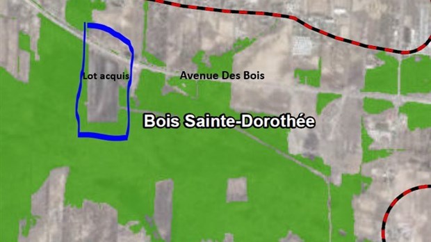 Une nouvelle acquisition pour mieux protéger l’environnement du bois de Ste-Dorothée
