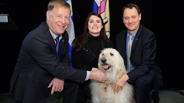 Un nouveau règlement municipal au sujet des animaux