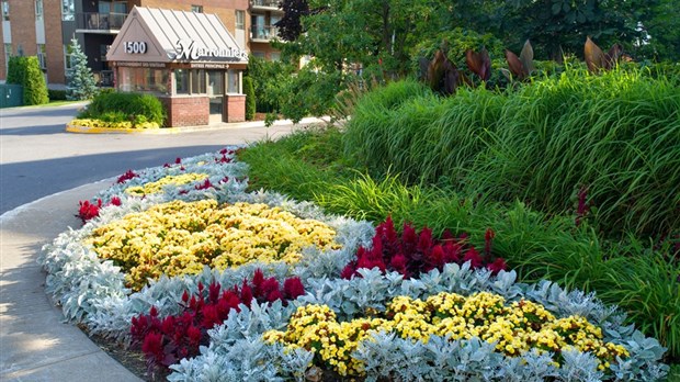 Gens de cœur, gens de fleur ; votre ville vous sollicite!