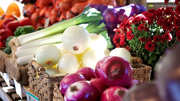 Trois marchés de quartier à Laval cet été