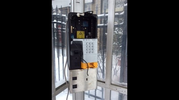 Un homme écope de 16 mois de prison pour 65 vols dans des téléphones publics