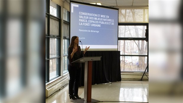 Consultations publiques auprès d’organismes pour trois plans directeurs   