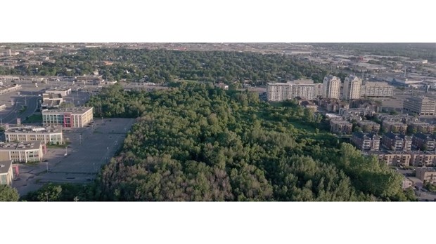 Michel Trottier veut mettre fin au Far West de l'immobilier