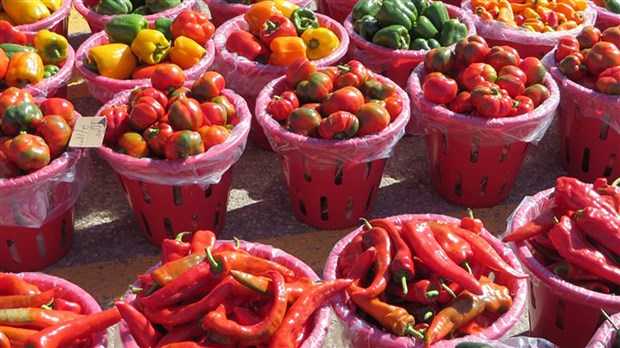 Dire merci à ceux et celles qui nous permettent de manger local  
