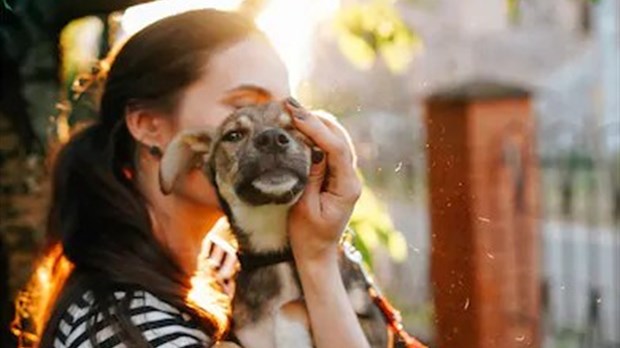 La Journée d'adoption d'animaux débute ce soir à Laval