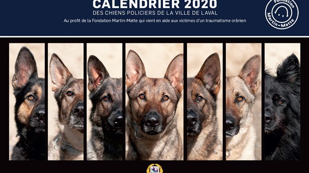 Le calendrier des maîtres-chiens 2020, pour la bonne cause