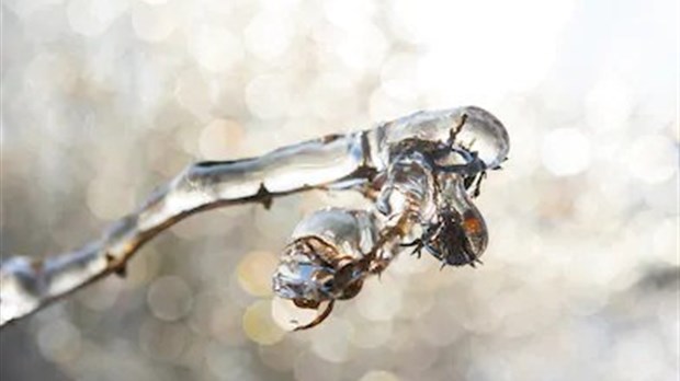 Avertissement de précipitations abondantes : les équipes de déneigement de Laval s'activent