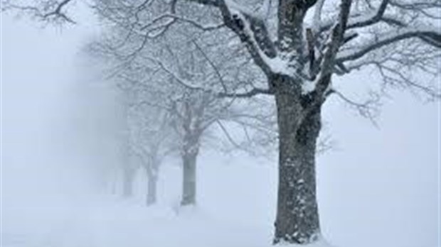 Accumulation de neige : conseils de sécurité