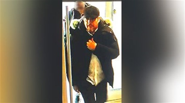 Suspect de vol de portefeuille à identifier