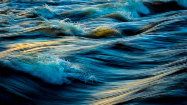 Naviguer sur la vie marine, une conférence qui déplace de l’eau