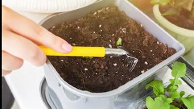 Une vente de compost en vrac est prévue ce samedi