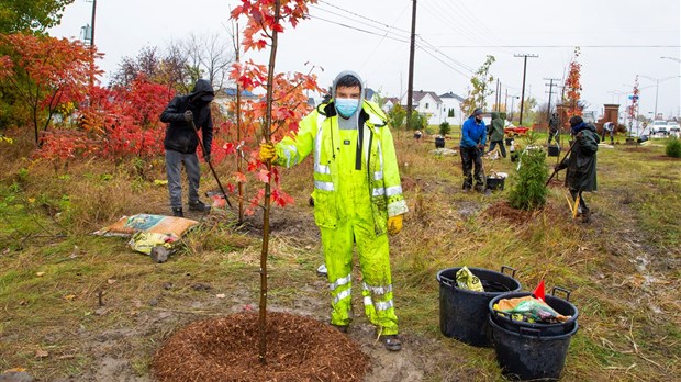 Plus de 34 000 arbres et 16 000 arbustes plantés en 2020 sur le territoire