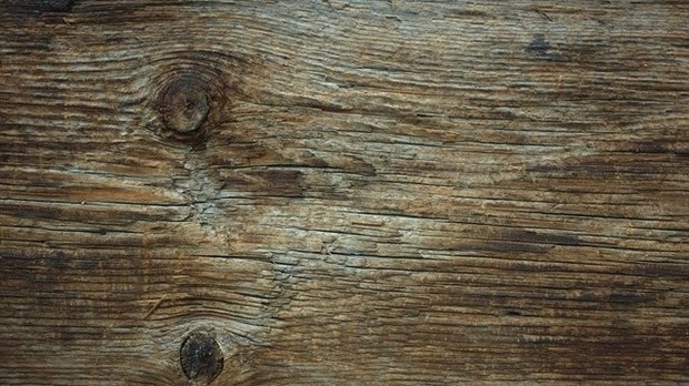 Revêtement extérieur en bois, un choix écologique et responsable?