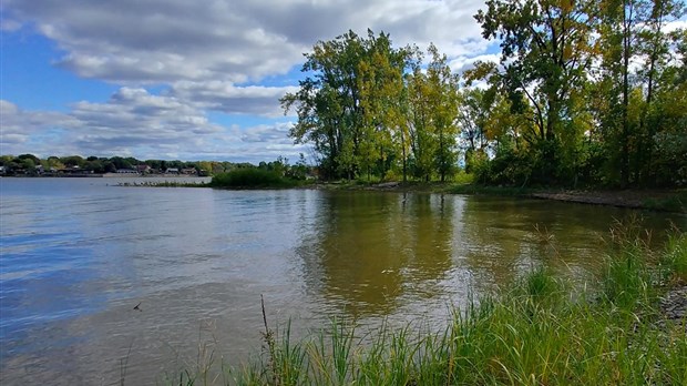 Le CRE demande la protection de 96% des milieux humides du territoire lavallois