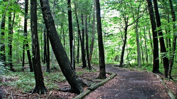 28 127$ pour soutenir un projet au Bois de l’Équerre