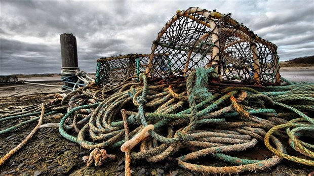 Le fédéral investira près de 470 M$ pour aider les pêcheurs