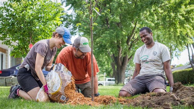 PlantAction lance la 2e édition de la campagne 